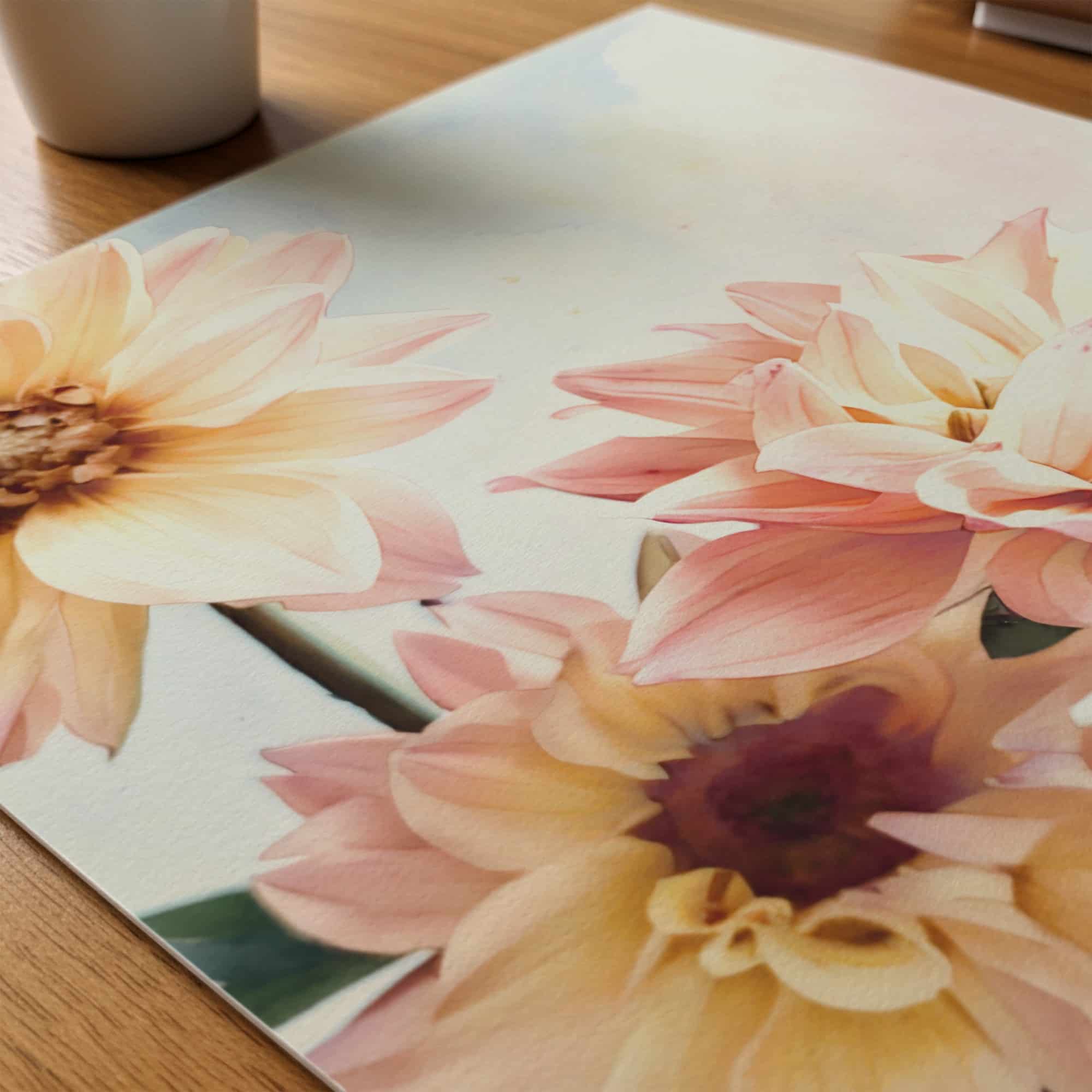 Soft Day Dahlias art prints