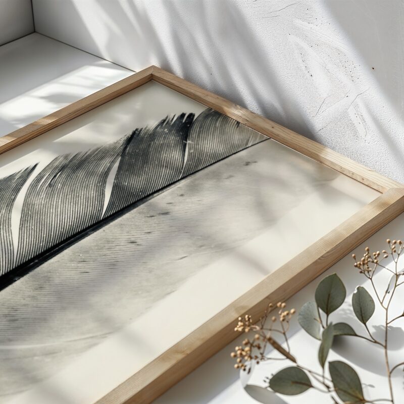 Silver Wings fine art photography