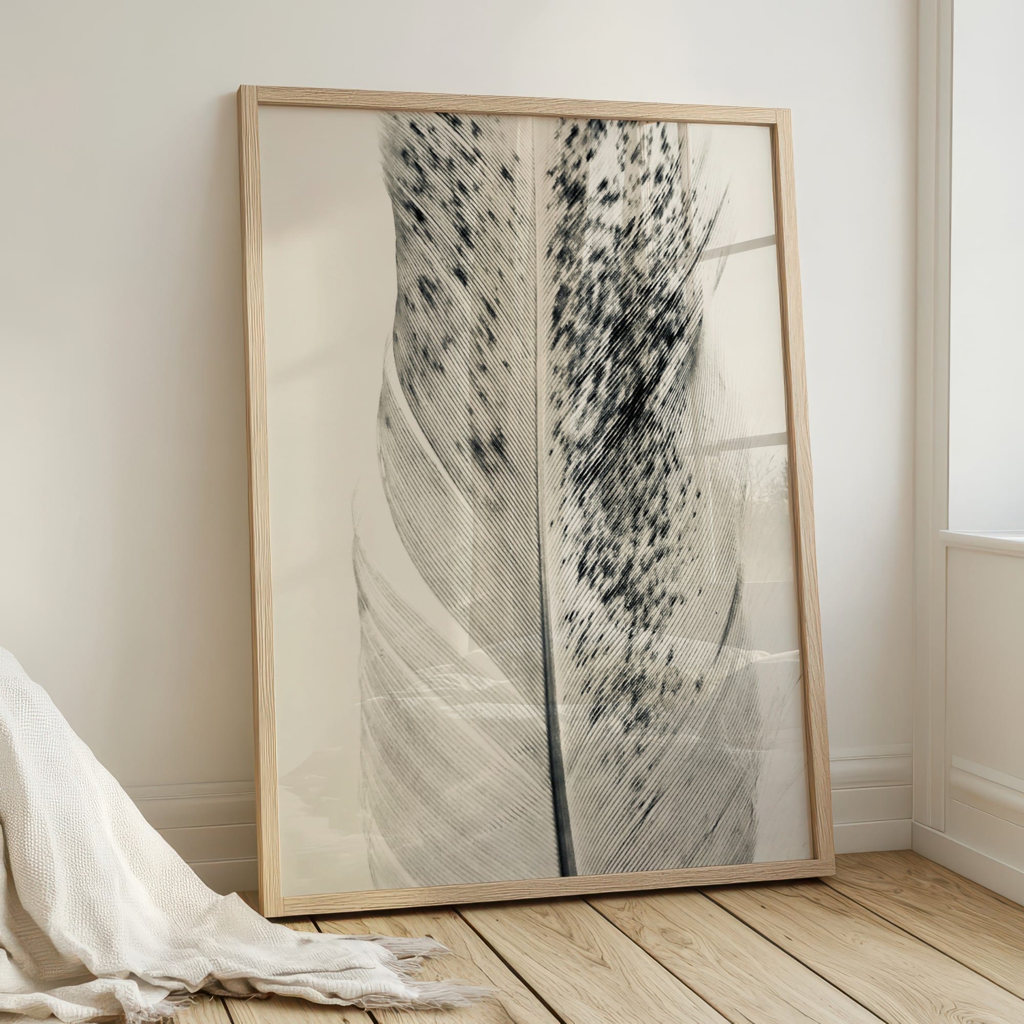 Silver Wings fine art photography