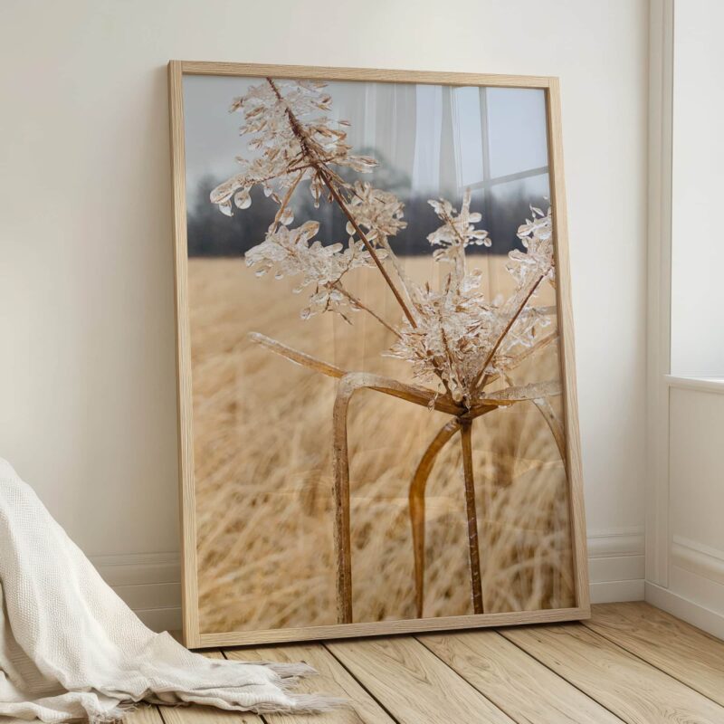 Frozen Diadem fine art photography