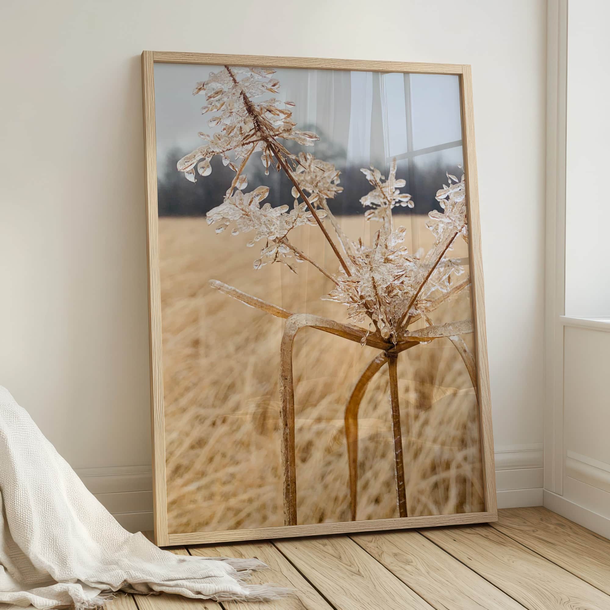 Frozen Diadem fine art photography