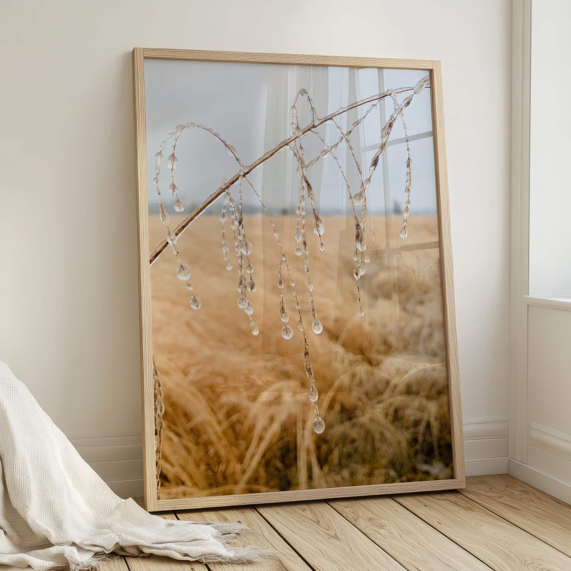 Winter Regalia fine art photography