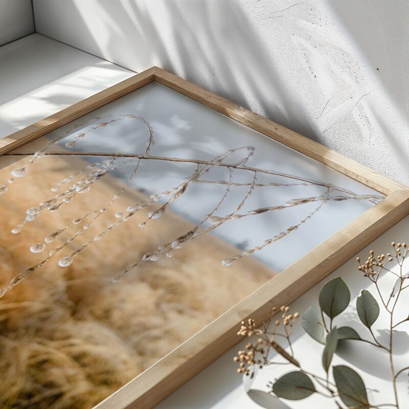 Winter Regalia fine art photography