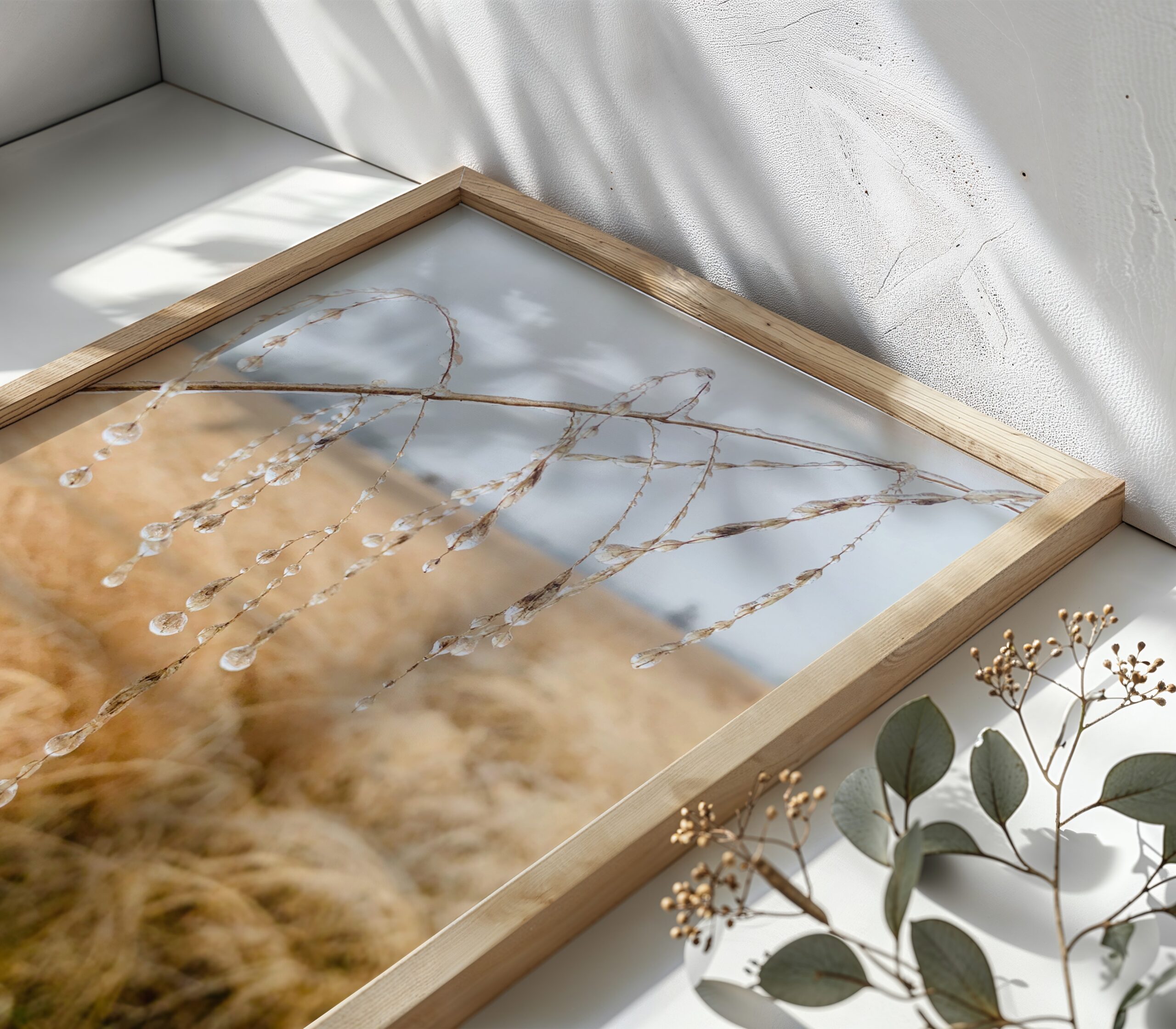 Winter Regalia fine art photography