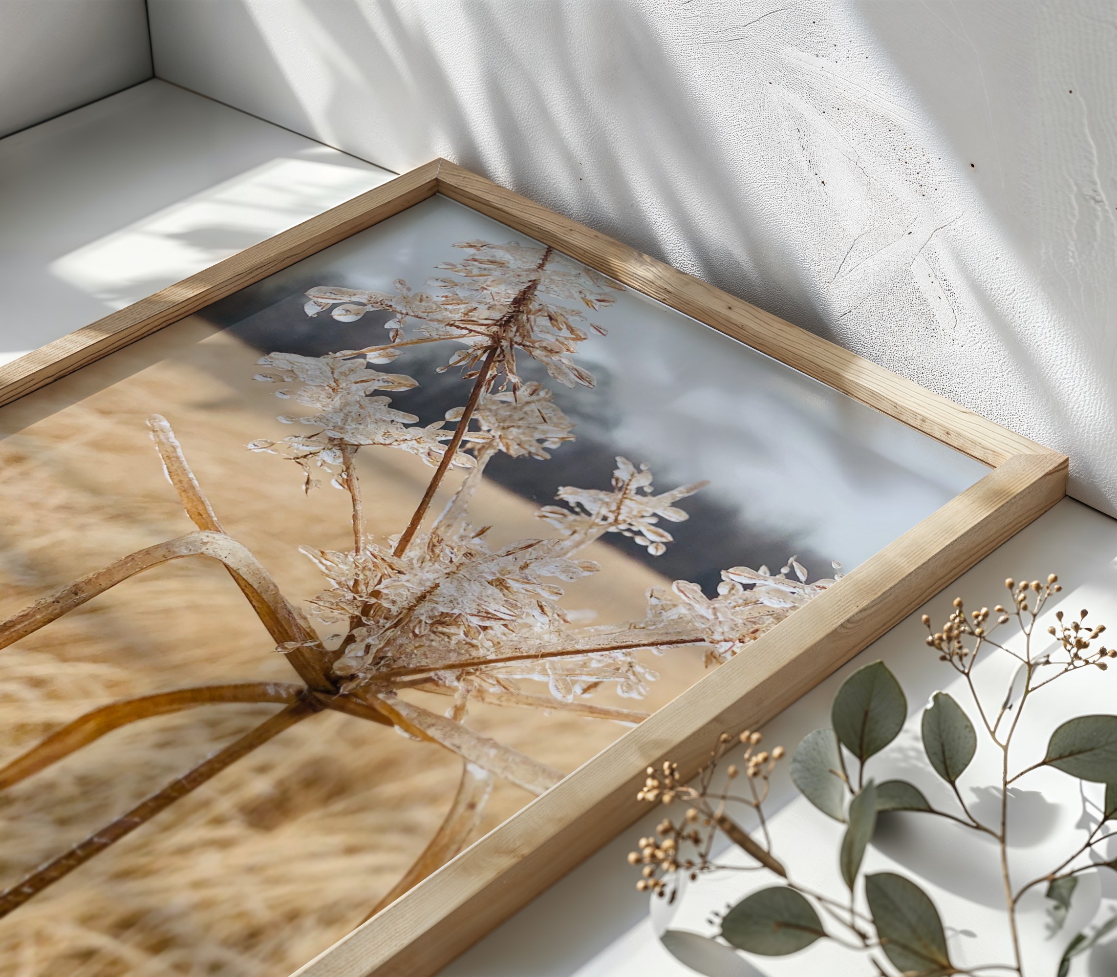 Frozen Diadem fine art photography