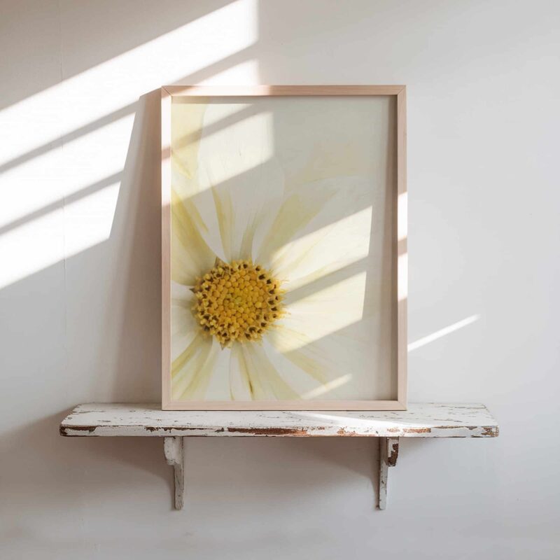 Lemon Light art prints