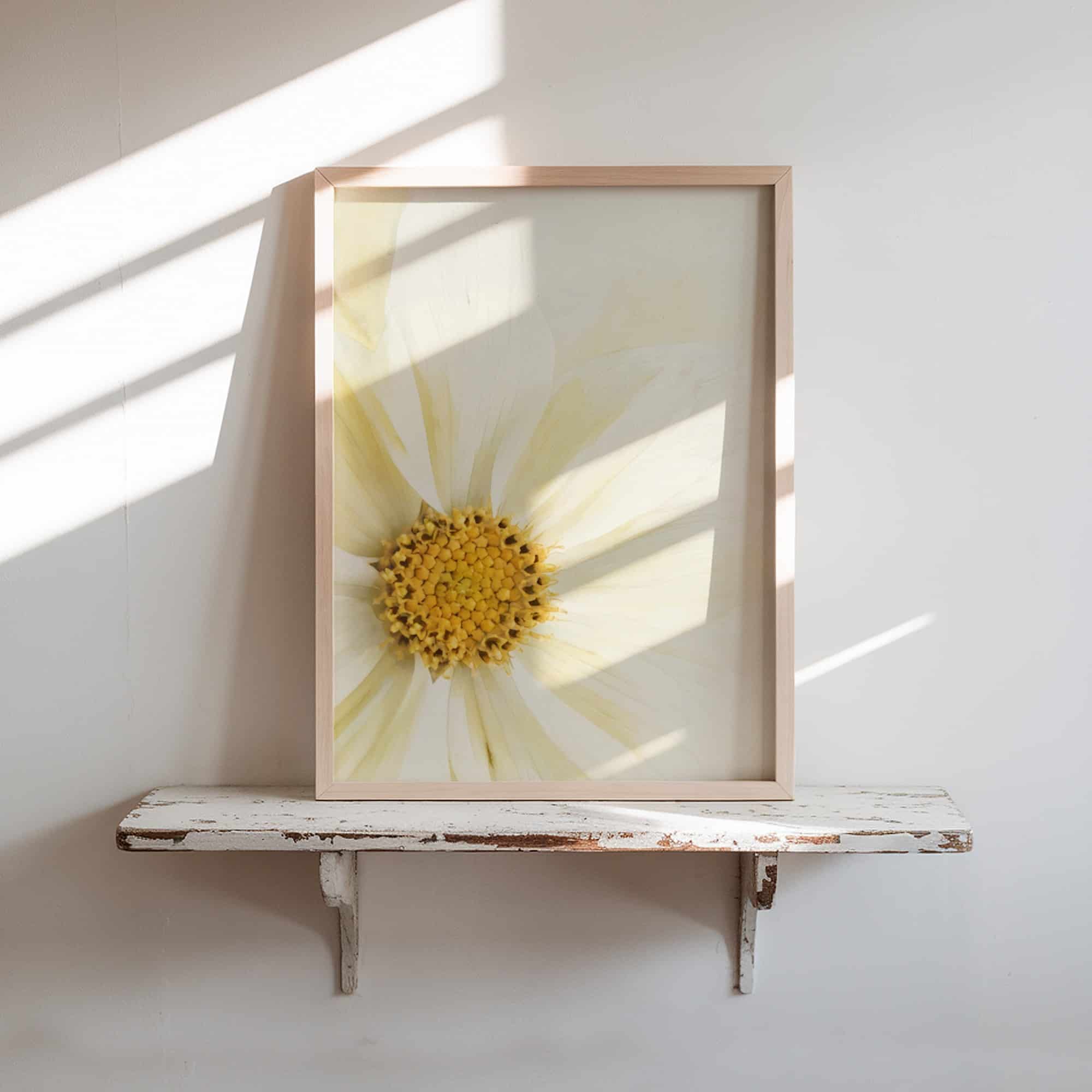 Lemon Light art prints