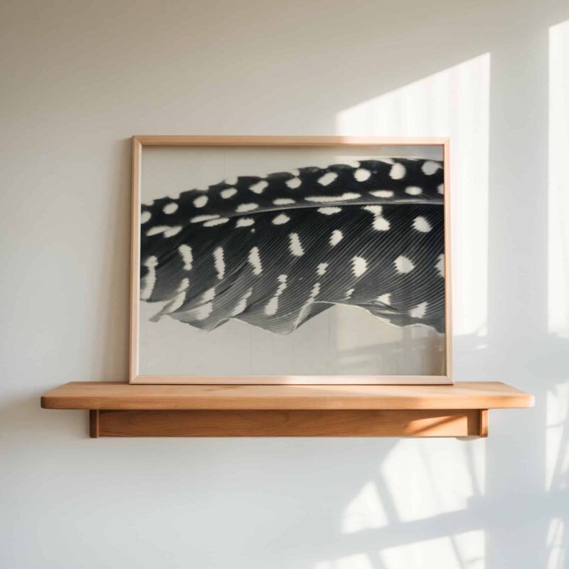 Midnight Dapple art prints