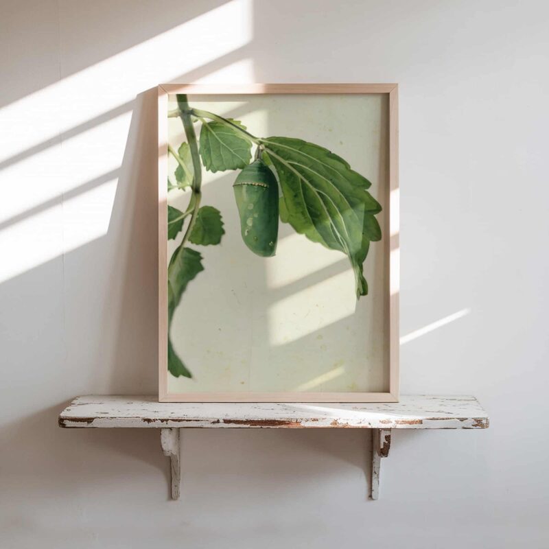 Winged Tomorrow art prints