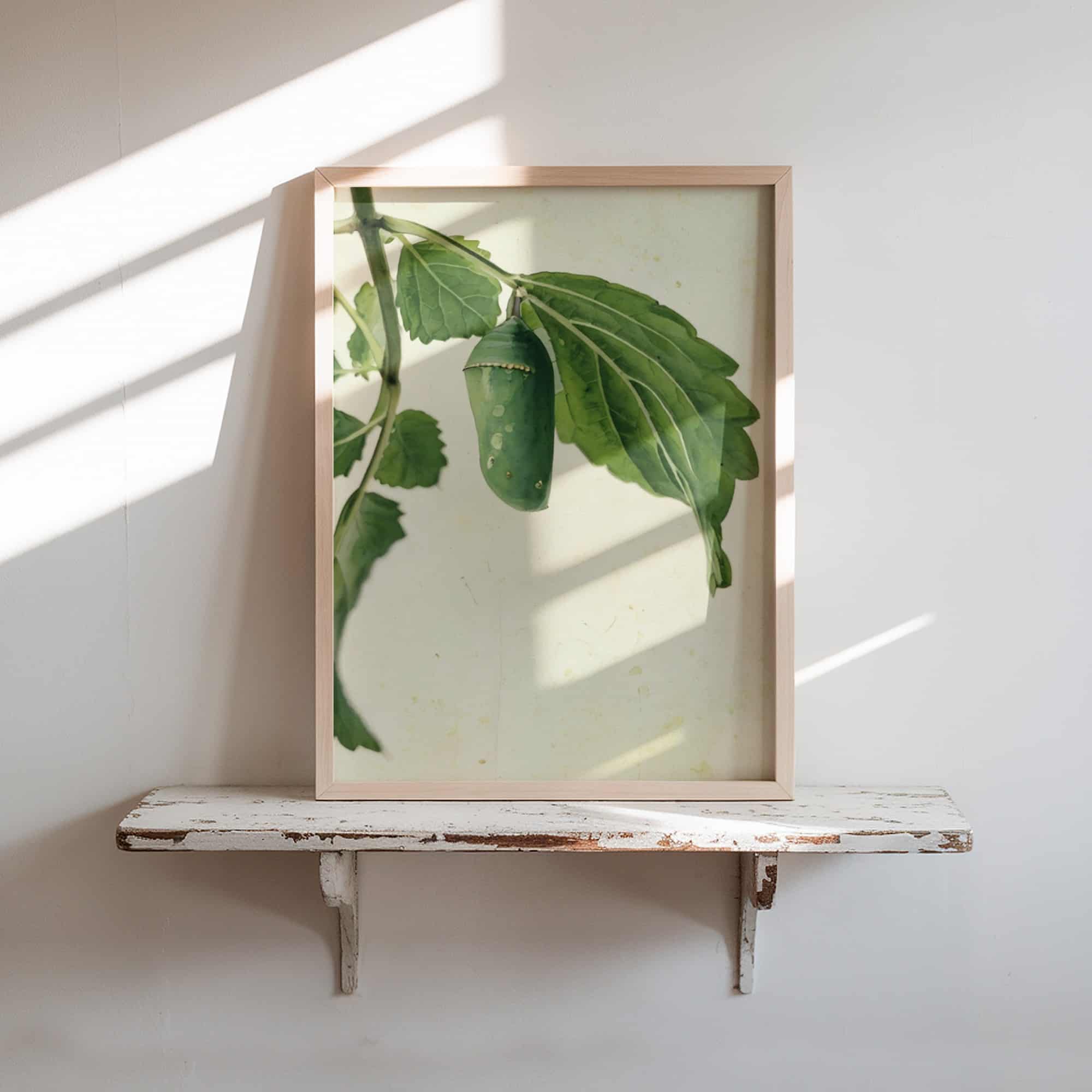 Winged Tomorrow Winged Tomorrow art prints