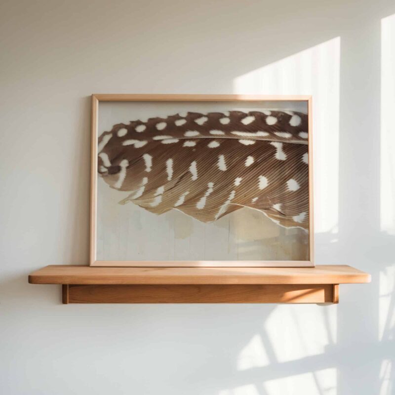 Chestnut Dapple art prints