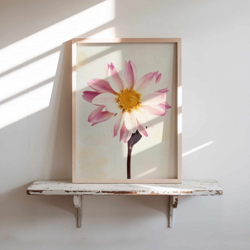 Day Petal art prints