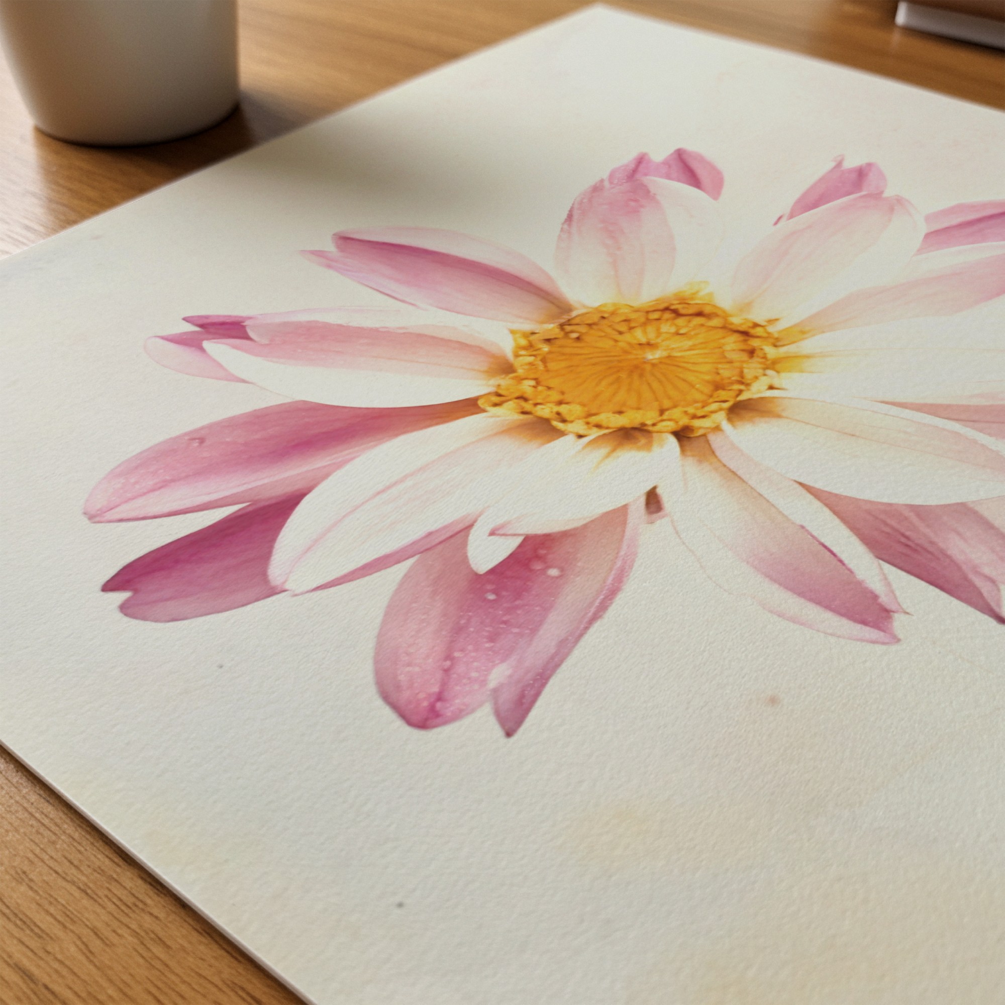 Day Petal art prints