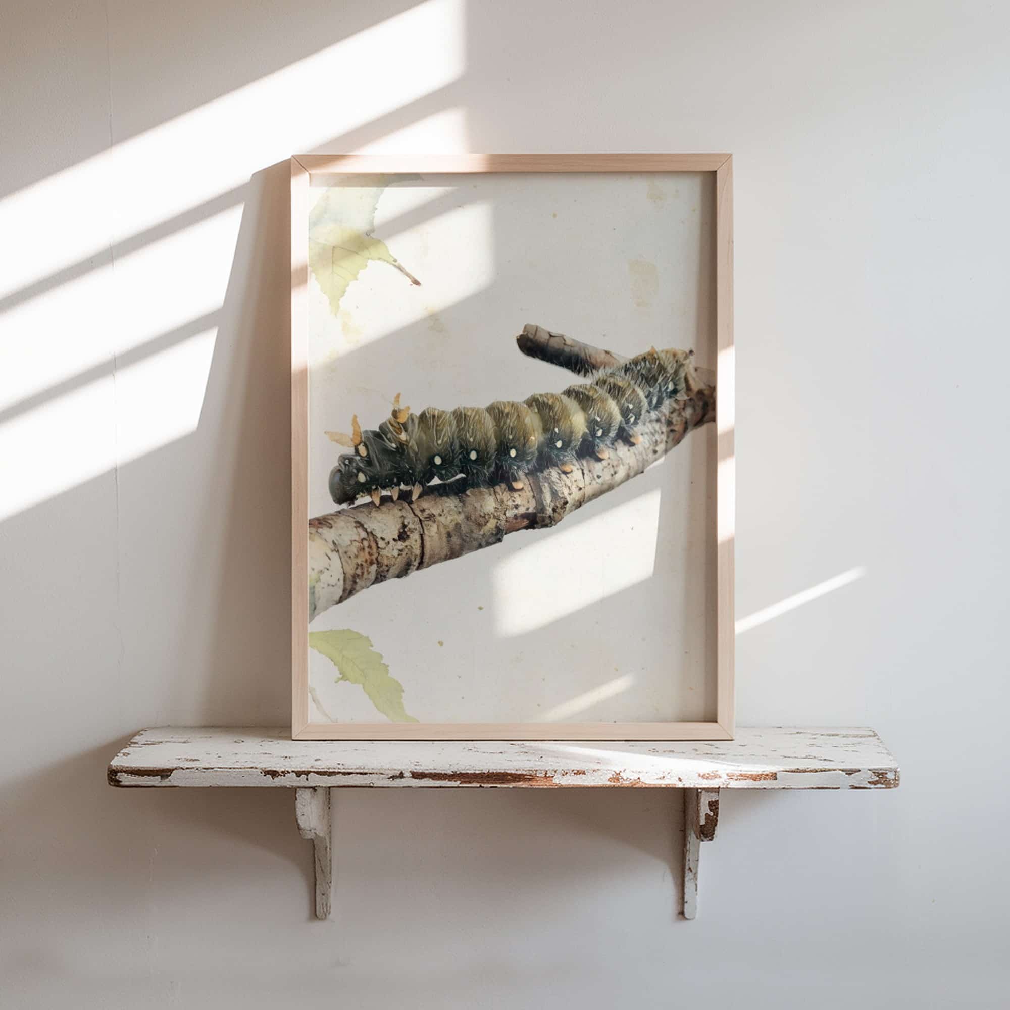 Woodland Commuter Woodland Commuter art prints