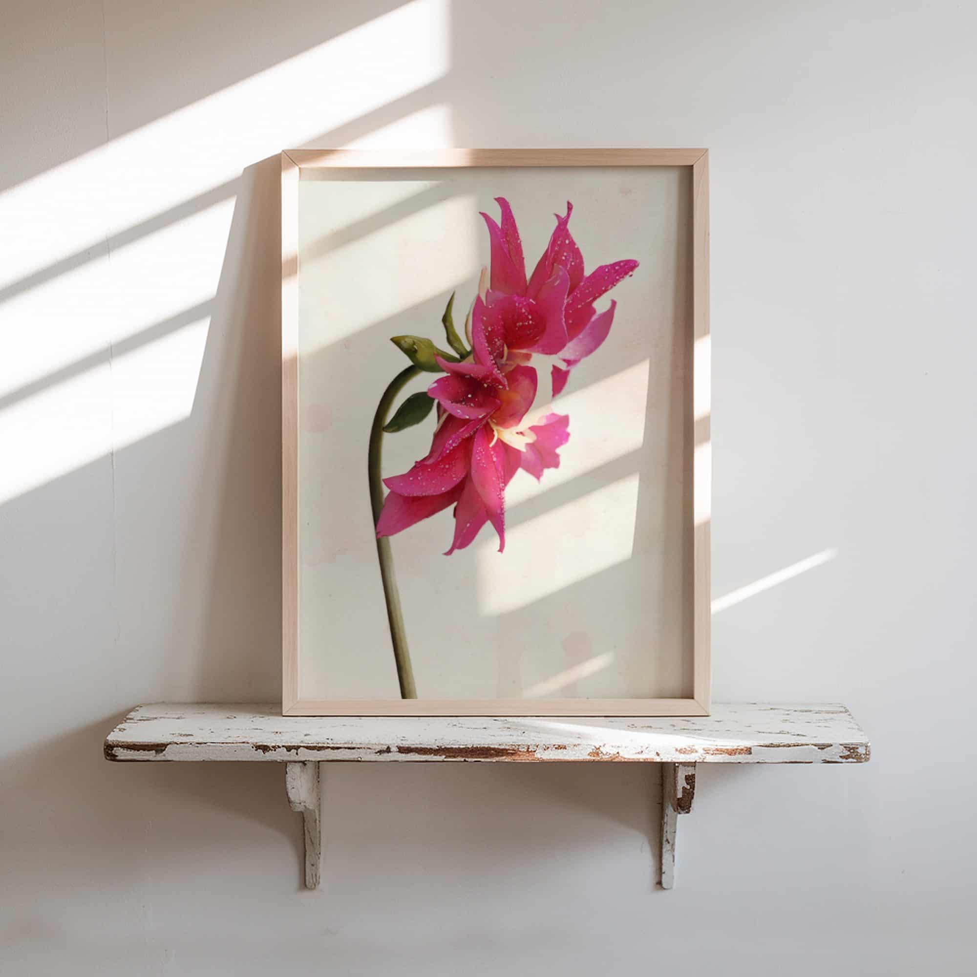 Curved in Bloom Curved in Bloom art prints