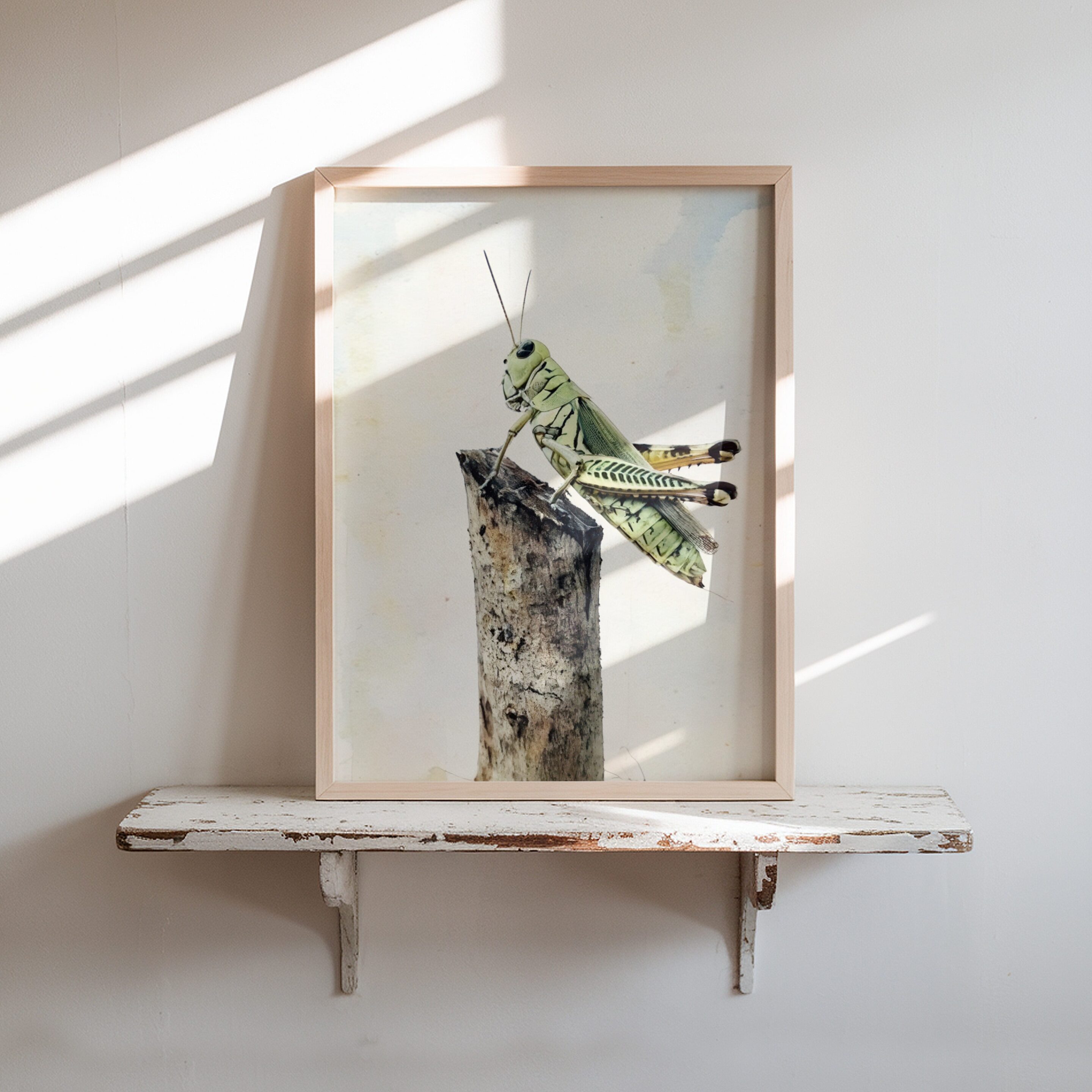 Sunlit Lookout Sunlit Lookout art prints