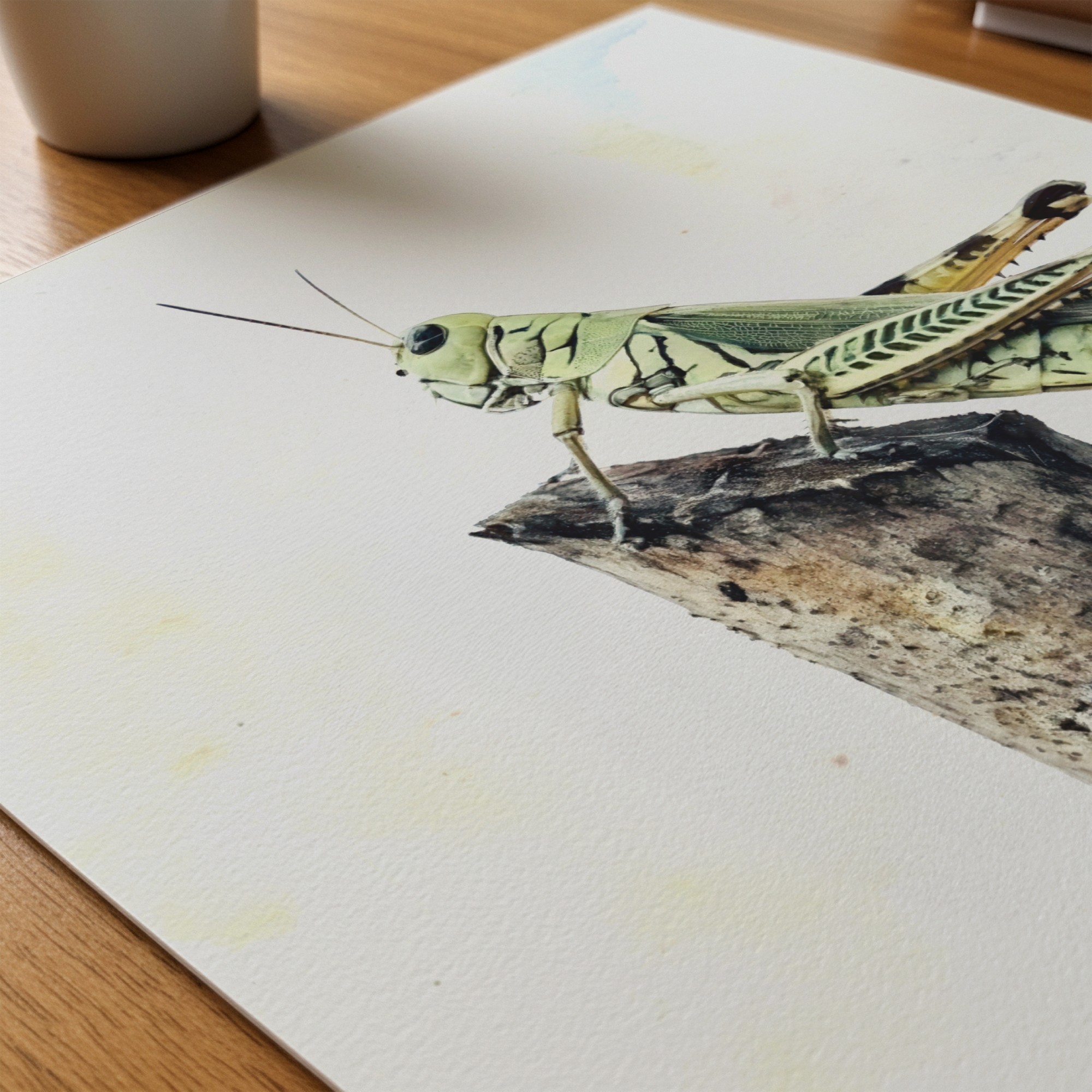 Small Adventures Small Adventures art prints