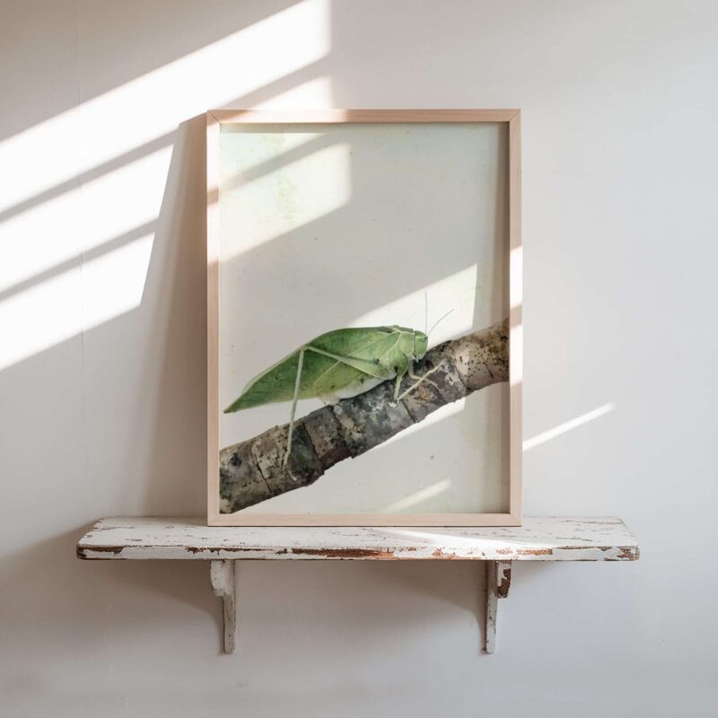 Garden Mimic art prints