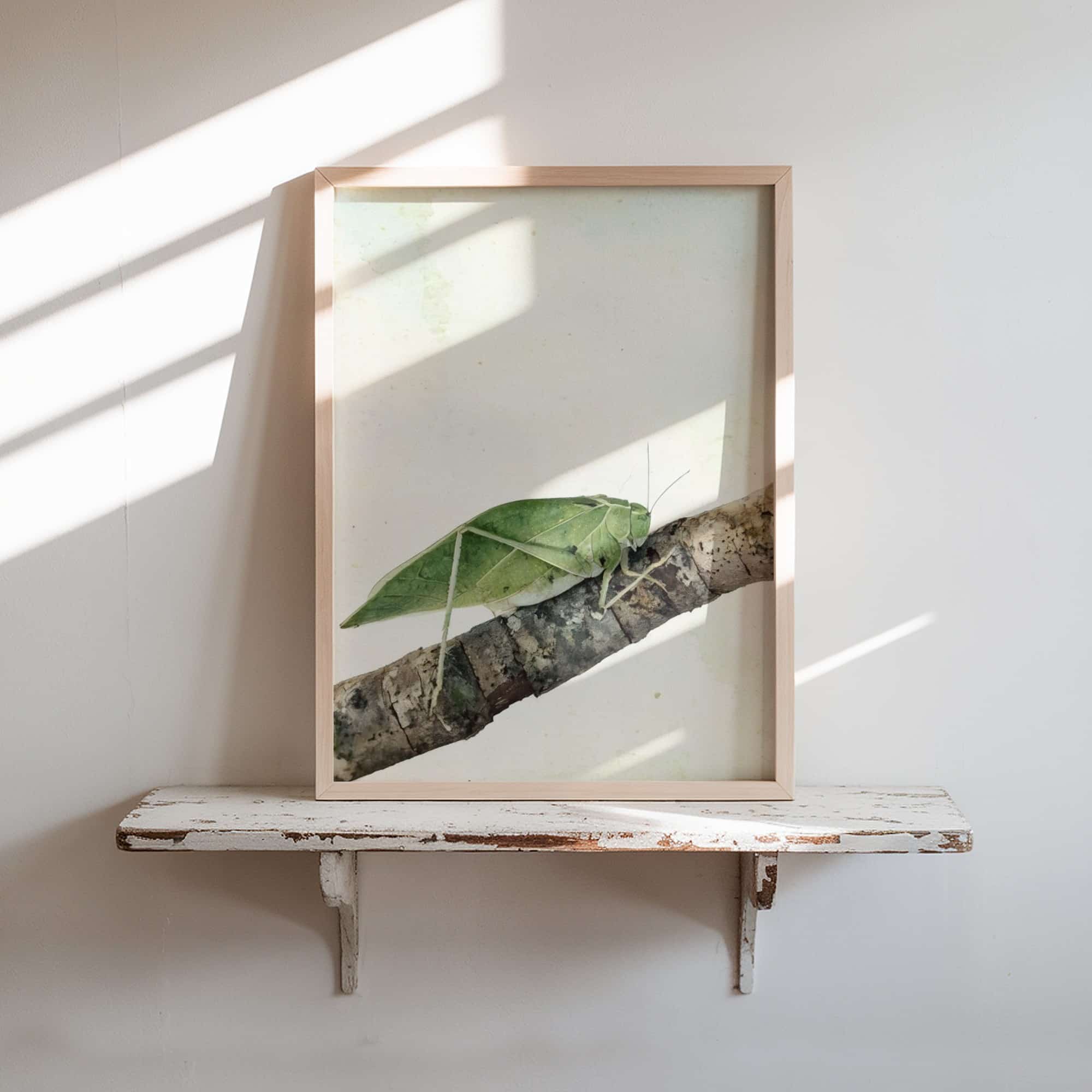 Garden Mimic art prints