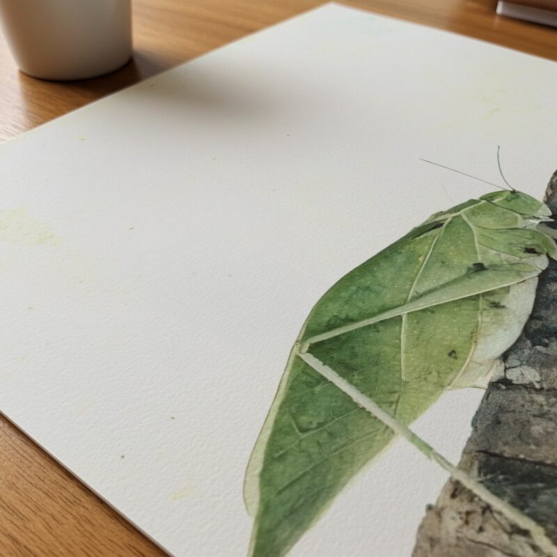 Garden Mimic art prints