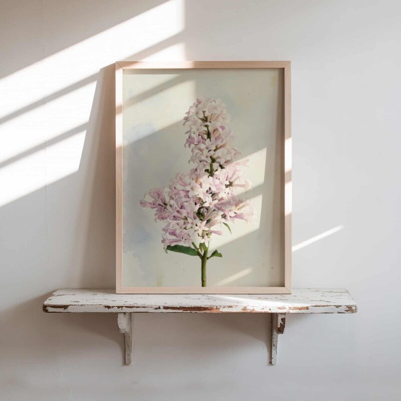 Spring Column art prints