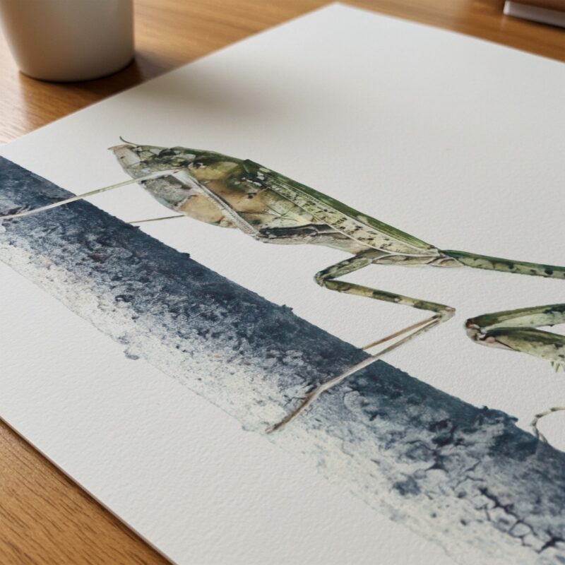 Measured Step art prints