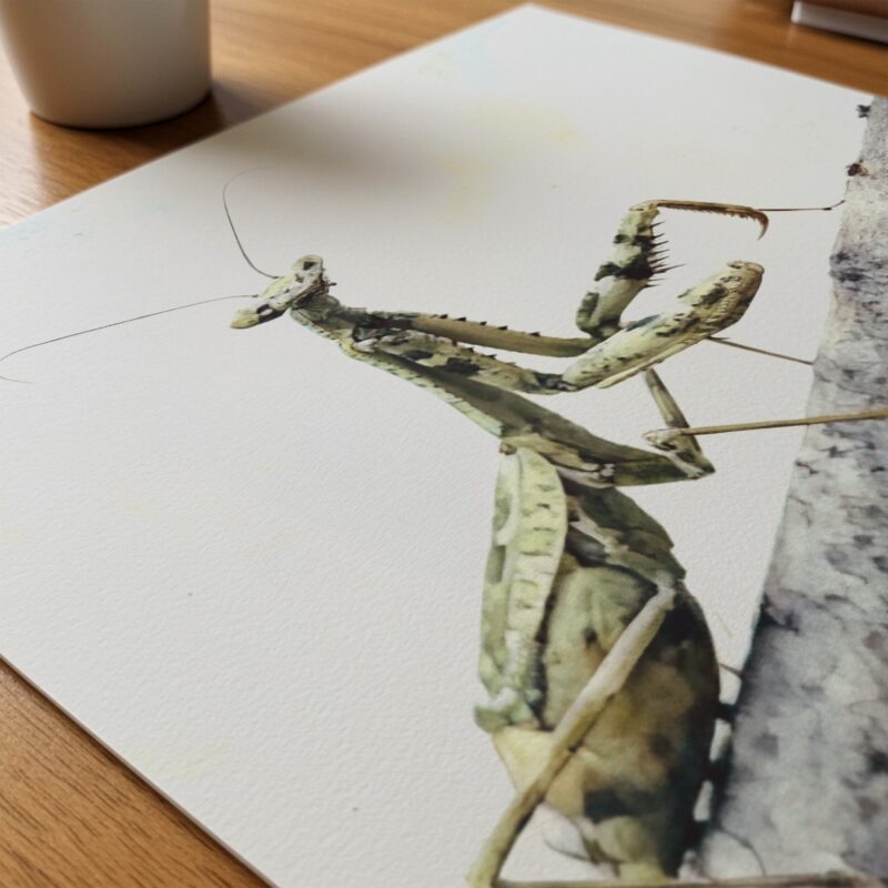 Small Adventures art prints