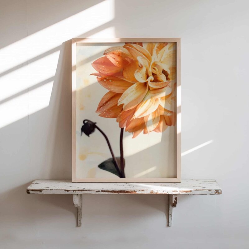 Ember Bloom art prints