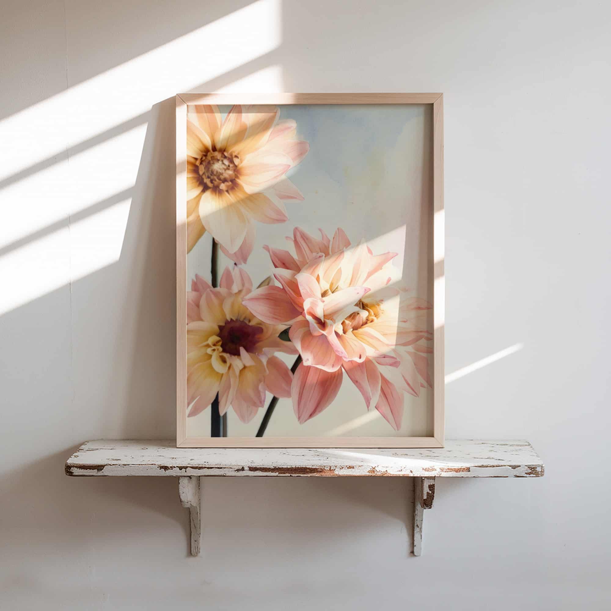 Soft Day Dahlias art prints