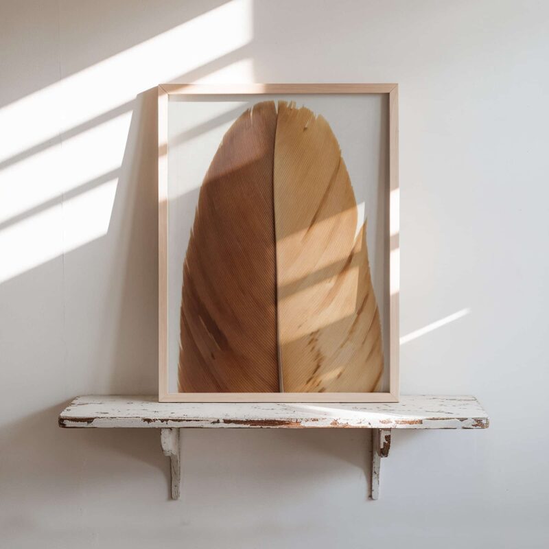 Amber Flight art prints