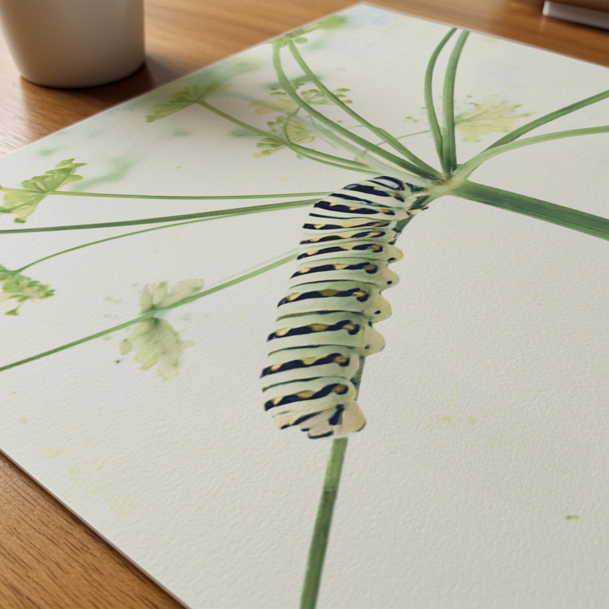 Garden Acrobat Garden Acrobat art prints