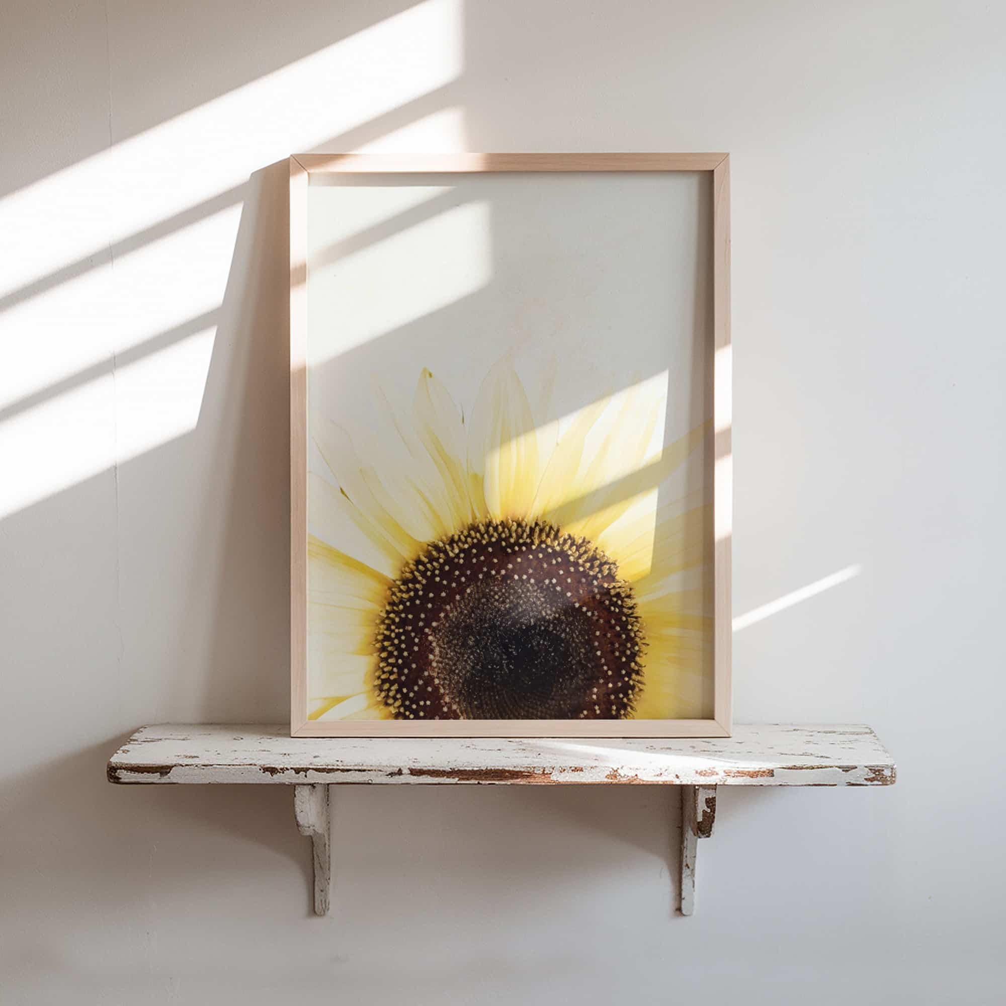 Sol Radiance art prints