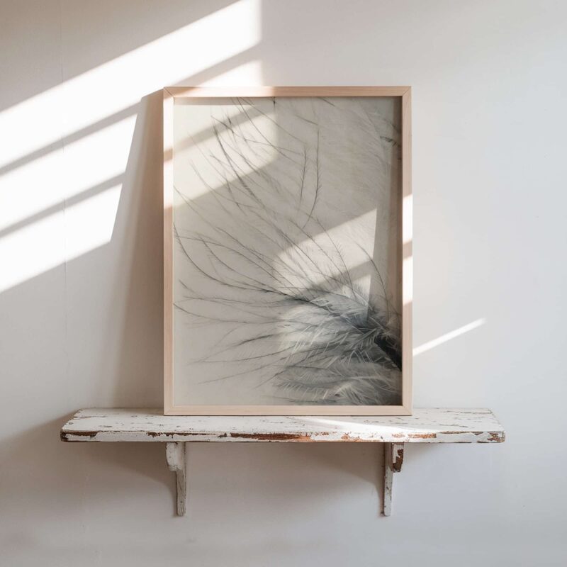 Gentle Fray art prints