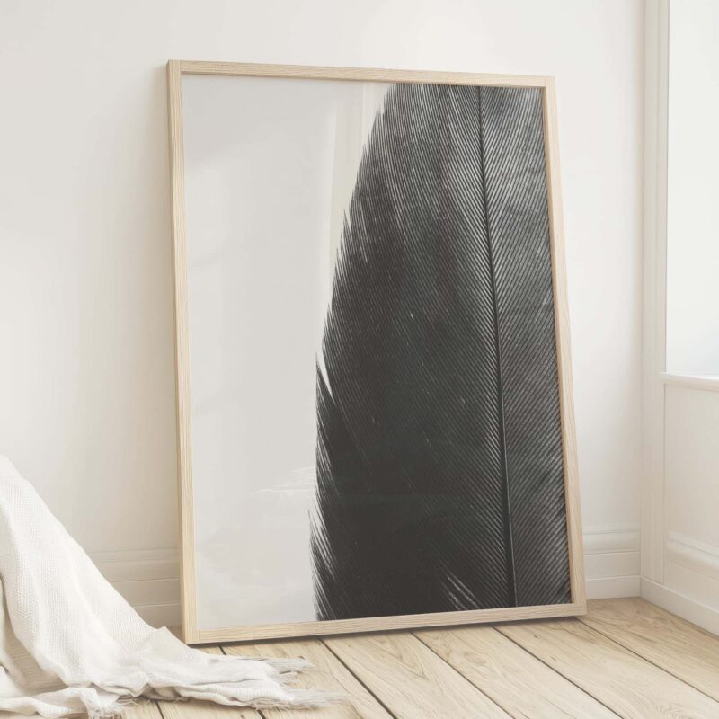 Feather Line Feather Line fine art photography