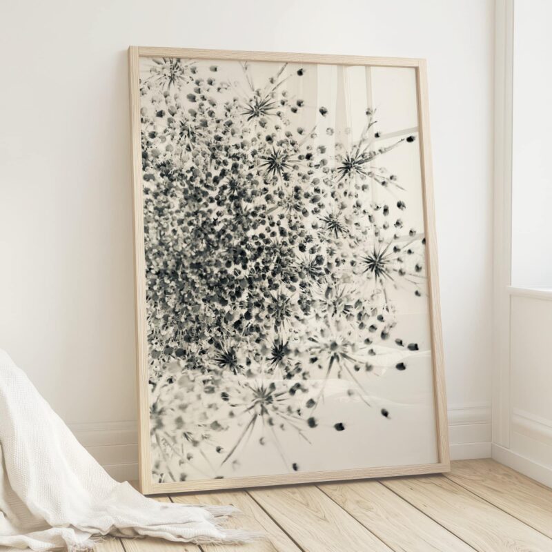 Silver Lace Silver Lace fine art photography