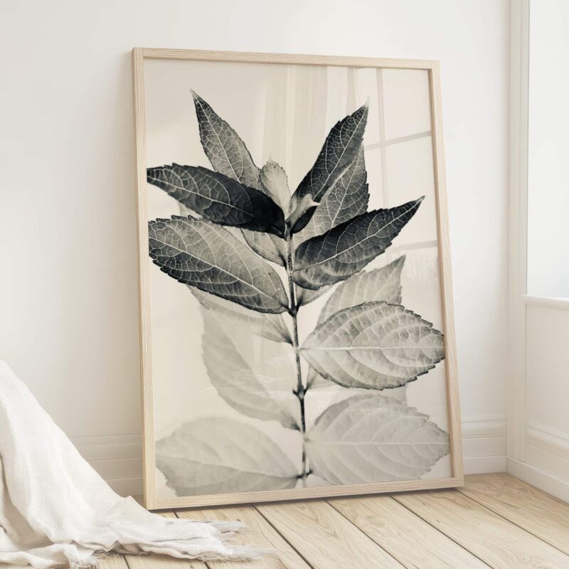 Silver Veins Silver Veins fine art photography