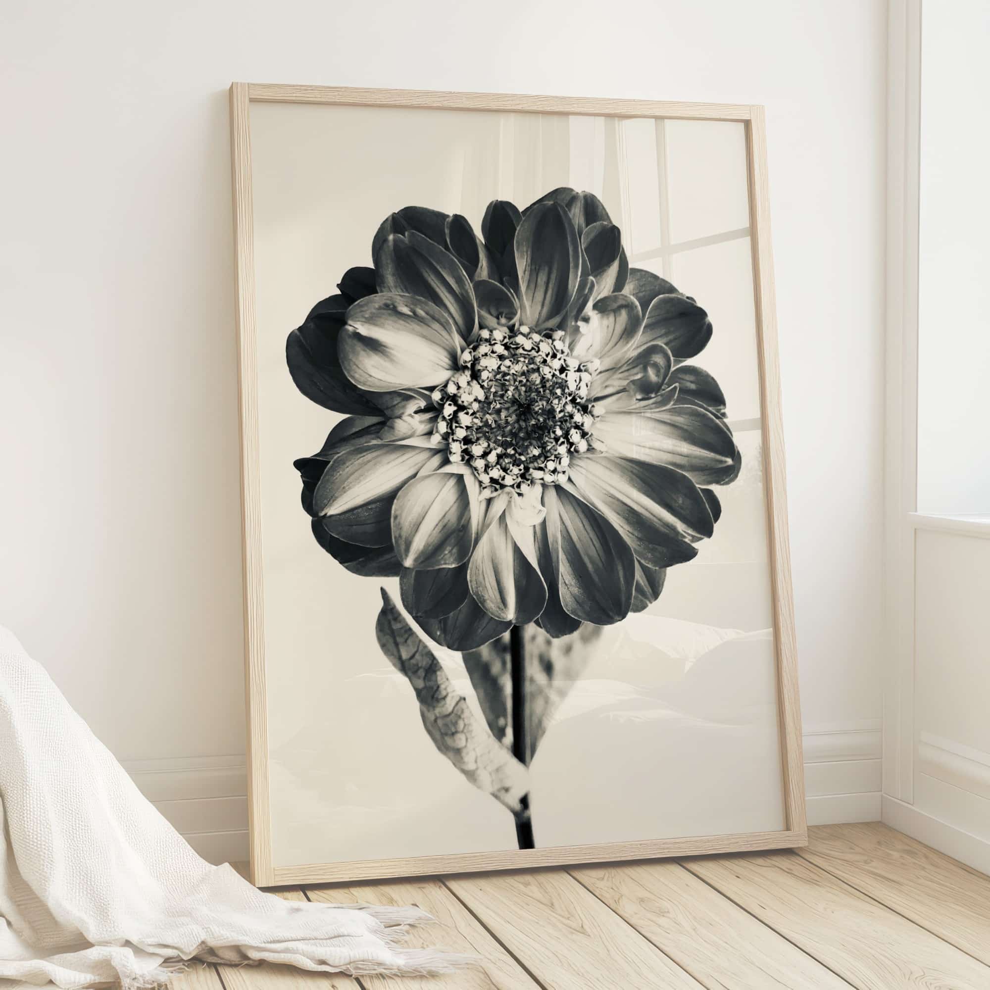 Bloom & Echo Bloom & Echo fine art photography