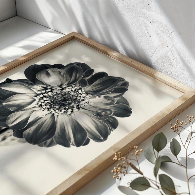 Bloom & Echo Bloom & Echo fine art photography