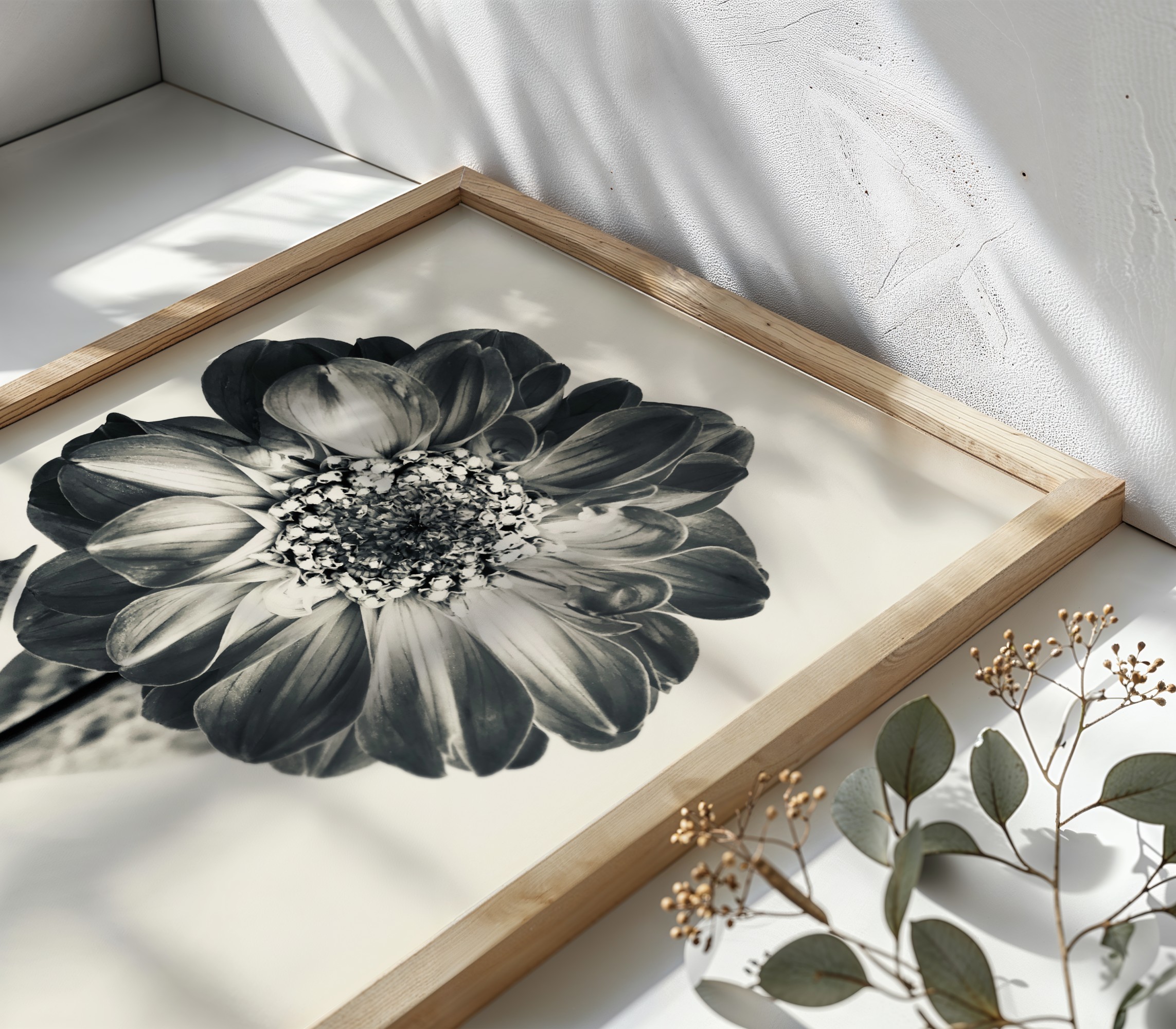 Bloom & Echo Bloom & Echo fine art photography