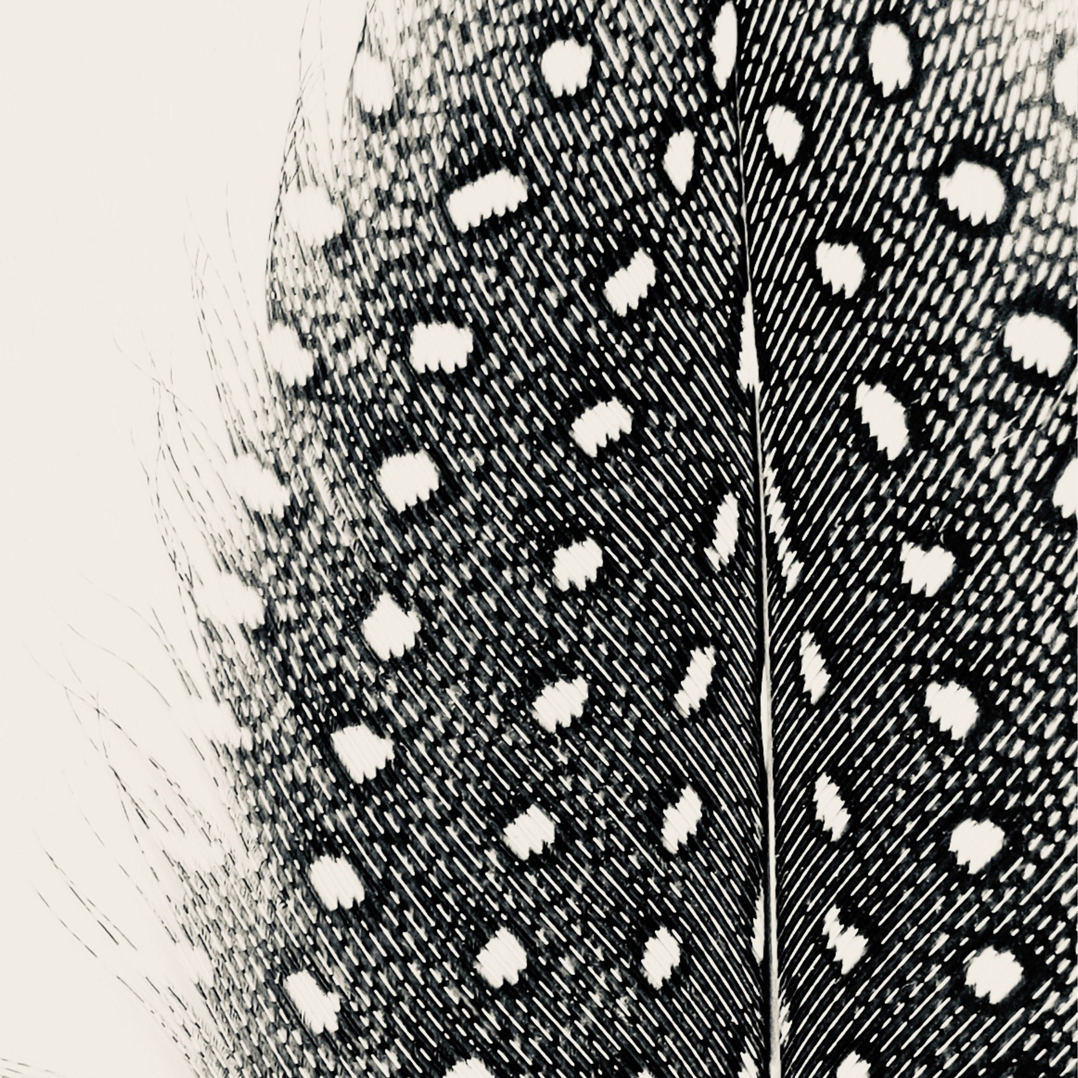 Haven & Flight Haven & Flight fine art photography