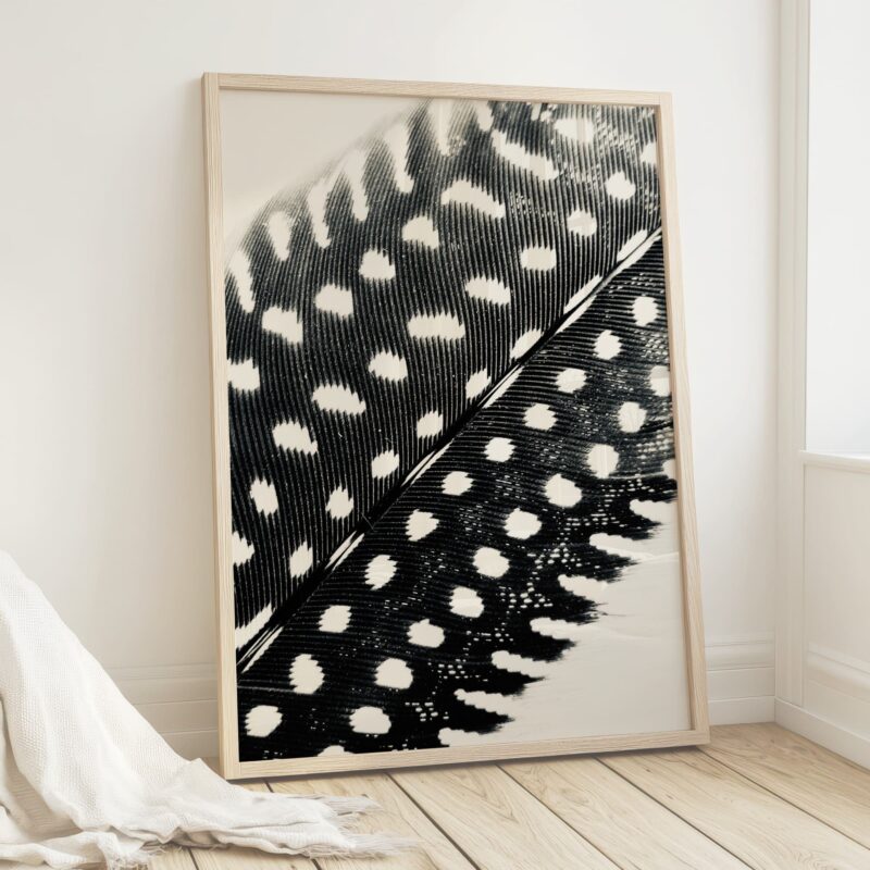 Silver Spots Silver Spots fine art photography