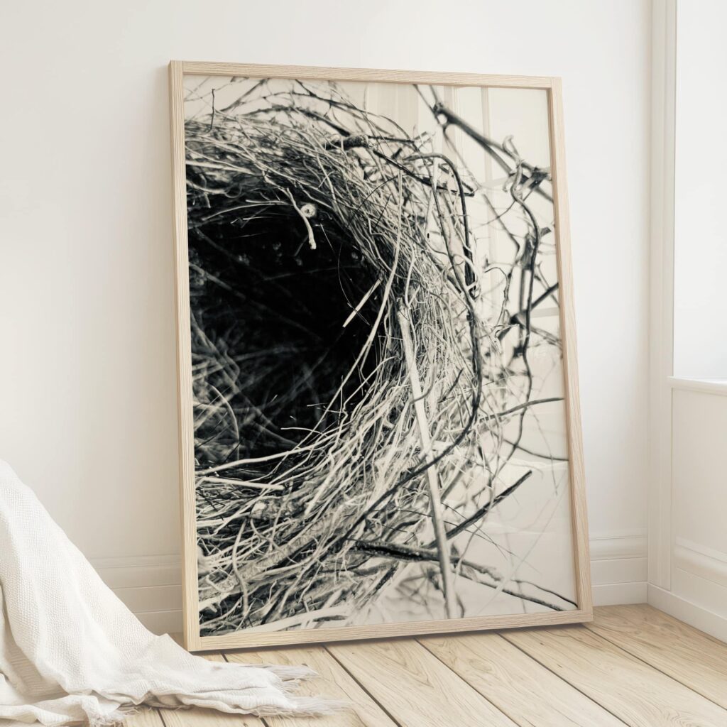 Canvas and Print Art