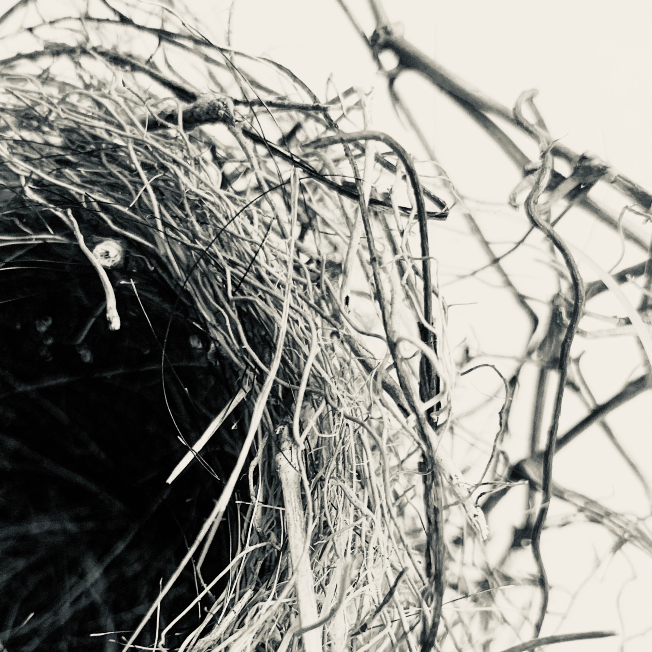 Silver Hollow Silver Hollow fine art photography