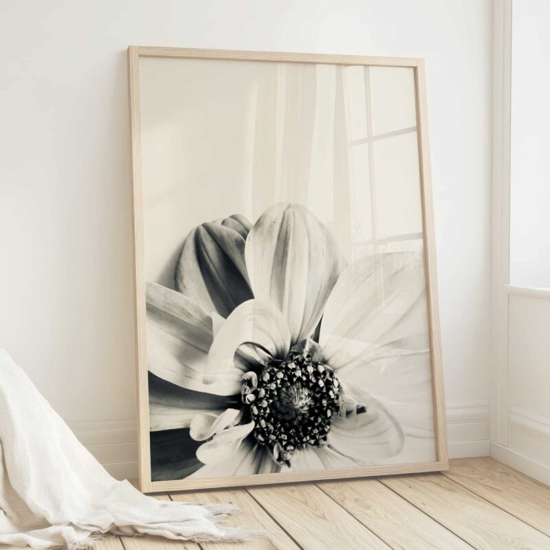 Bloom & Echo Bloom & Echo fine art photography