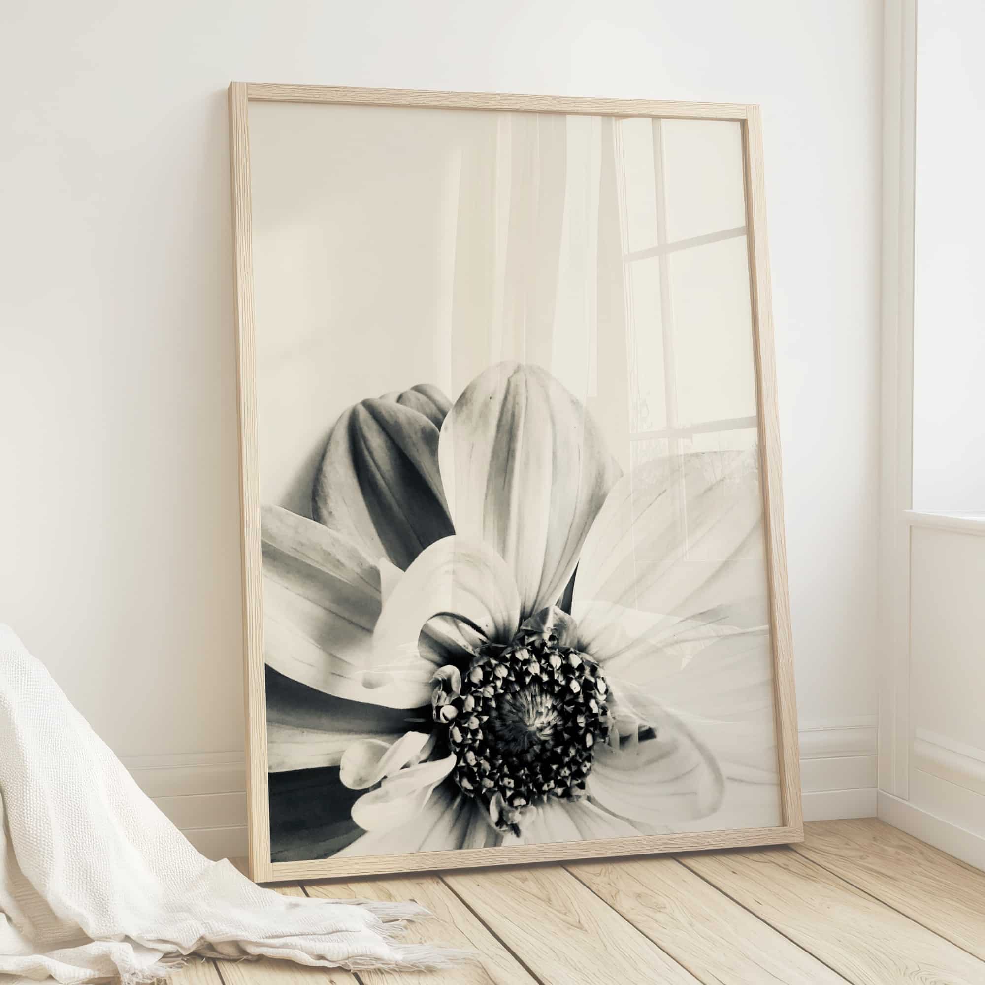 Bloom & Echo Bloom & Echo fine art photography