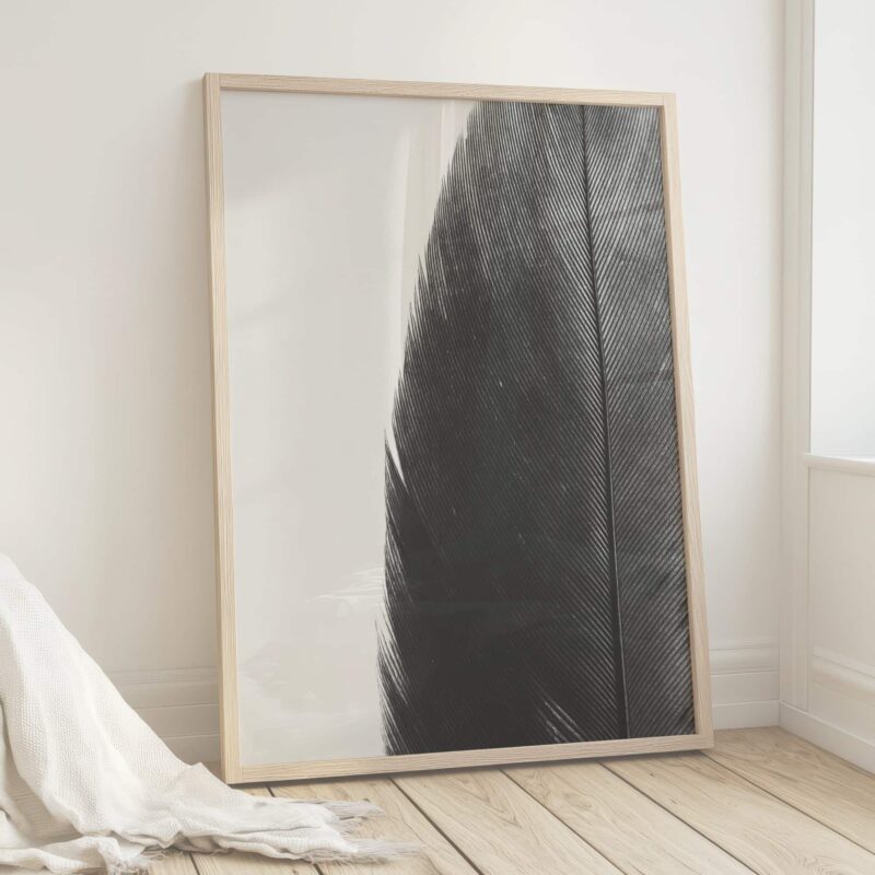 Tangled Line Tangled Line fine art photography