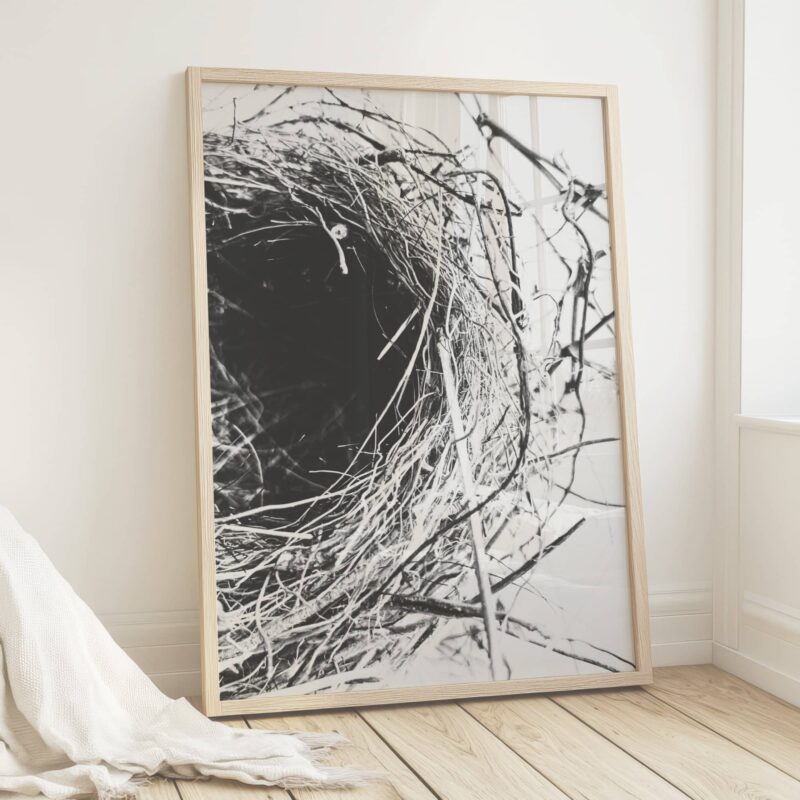 Tangled Line Tangled Line fine art photography