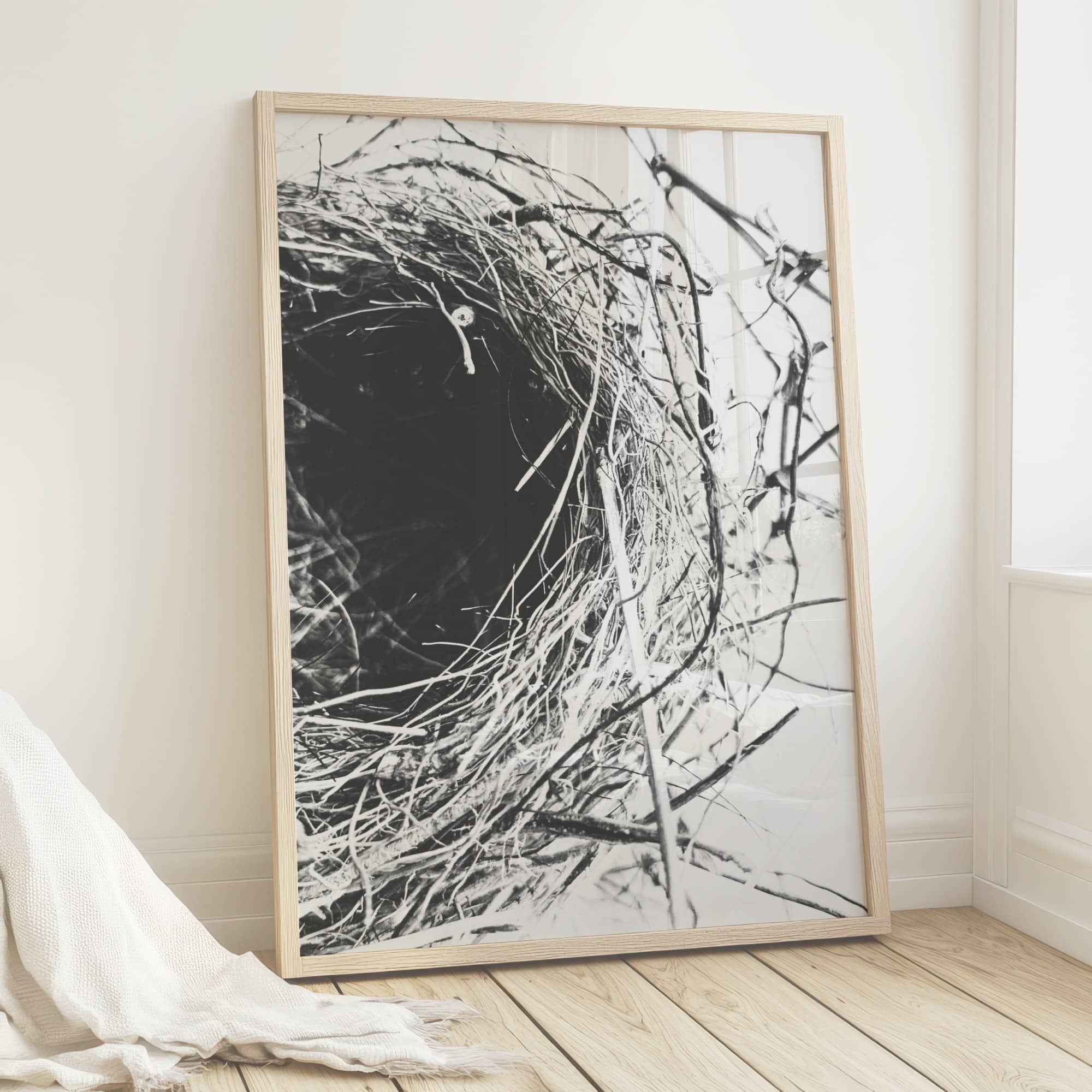 Tangled Line Tangled Line fine art photography