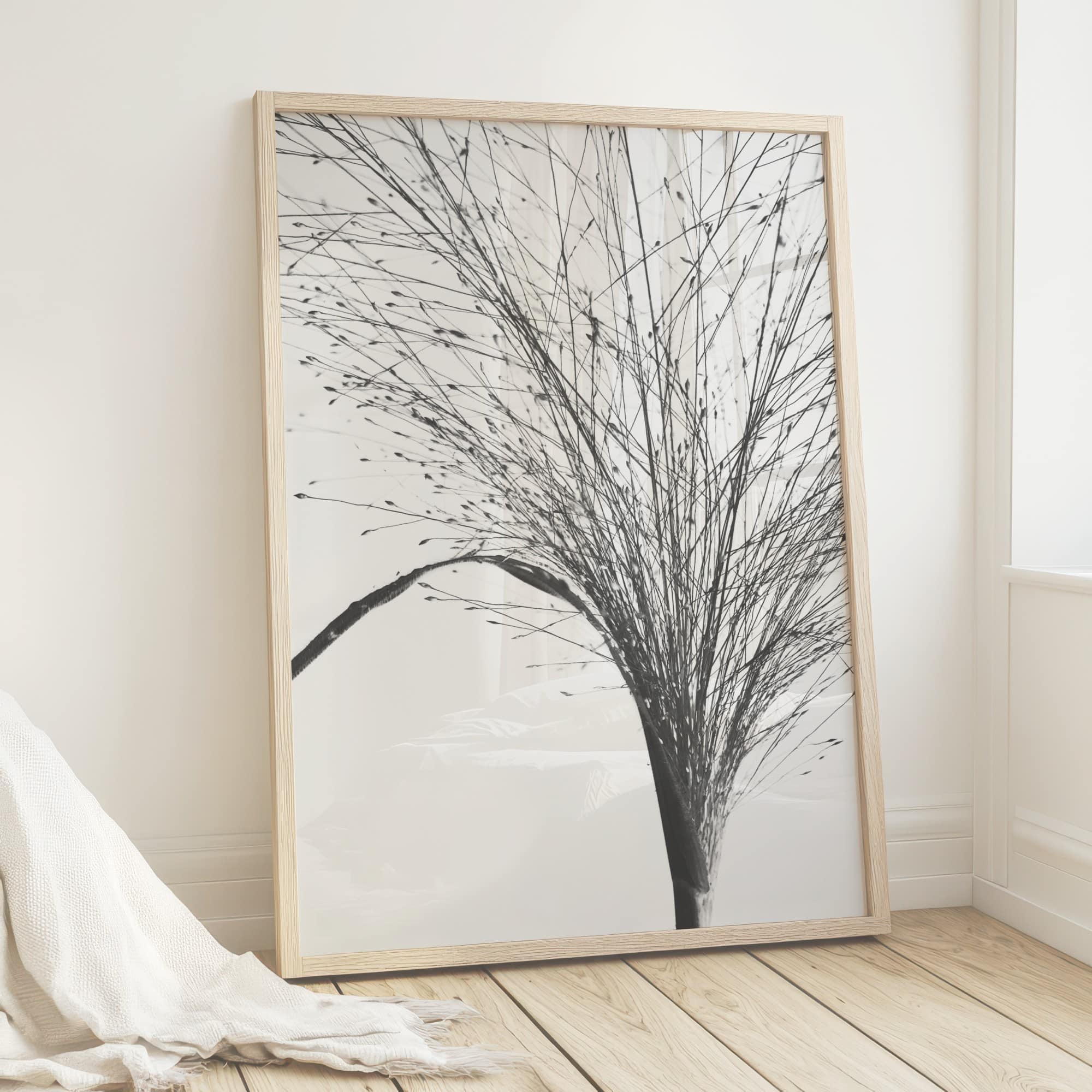 Meadow Script Meadow Script fine art photography