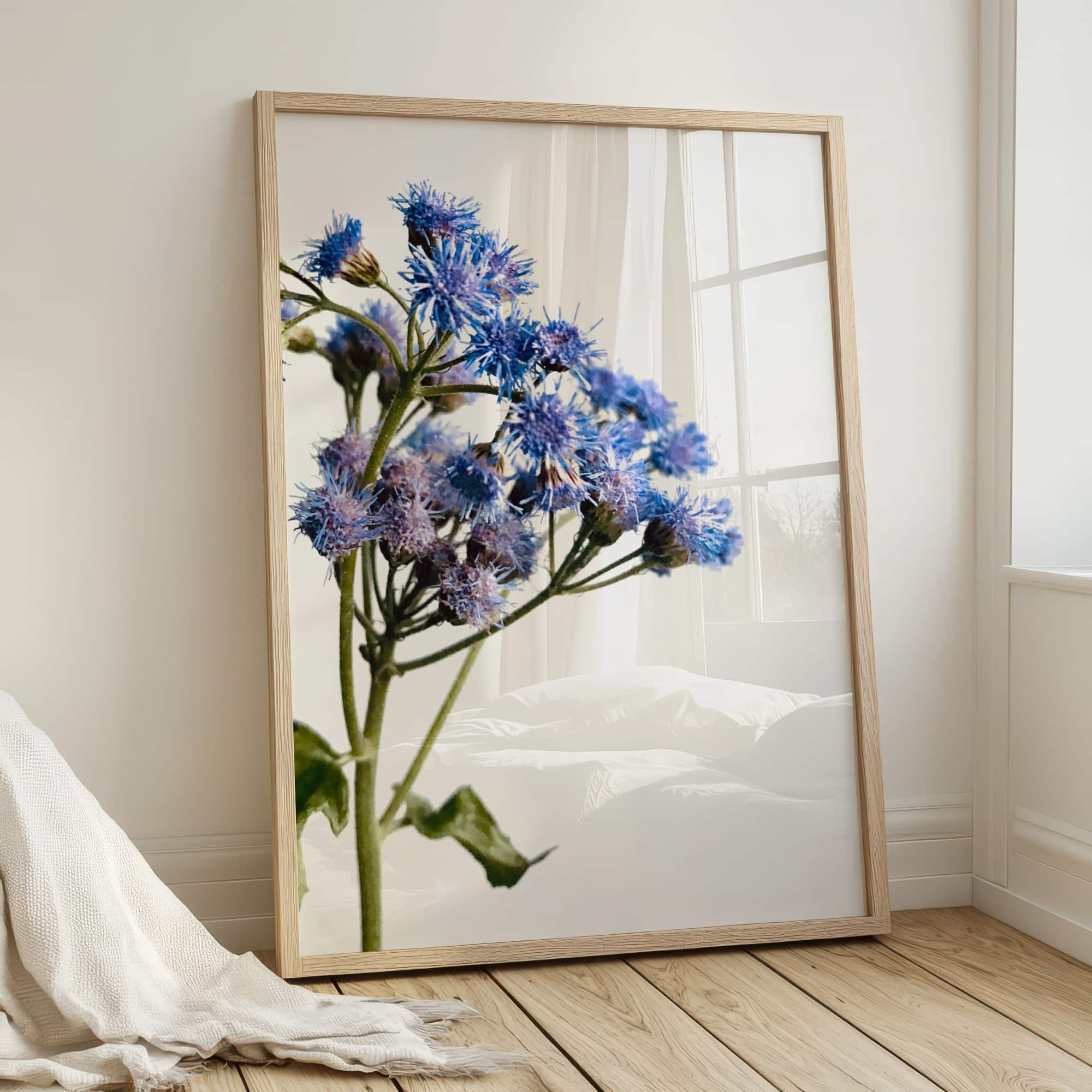 Blue Mistflower Pair Blue Mistflower Pair fine art photography
